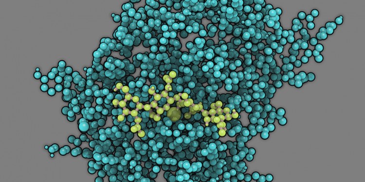 Modell des Enzyms Chitosan-Deacetylase (türkis) mit seinem Substrat Chitosan (hellgrün), das im aktiven Zentrum des Enzyms gebunden ist.<address>© Martin Bonin</address>