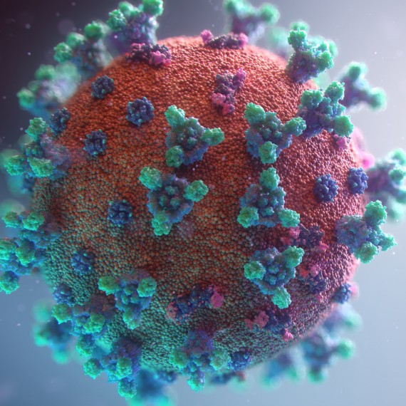 Coronavirus<address>© unsplash.com - Fusion Medical Animation</address>