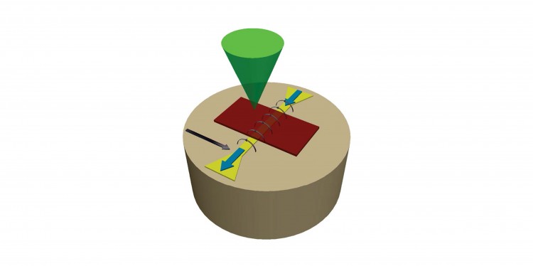So funktionierte das Experiment: Die Forscher verwendeten einen Mikrowellen-Resonator (braun), der Felder mit Frequenzen im Mikrowellenbereich erzeugte, wodurch die Magnonen in einem Film aus Yttrium-Eisengranat (rot) angeregt wurden und ein Bose-Einstein-Kondensat bildeten. Ein inhomogenes statisches Magnetfeld erzeugte Kräfte, die auf das Kondensat wirkten. Mit einer Sonde aus Laserlicht (grün), das auf die Oberfläche der Probe fokussiert war, zeichneten die Forscher die lokale Dichte der Magnonen auf und konnten ihre Wechselwirkung im Kondensat beobachten (Brillouin-Lichtstreu-Spektroskopie).<address>© I. V. Borisenko et al./ Nature Communications</address>