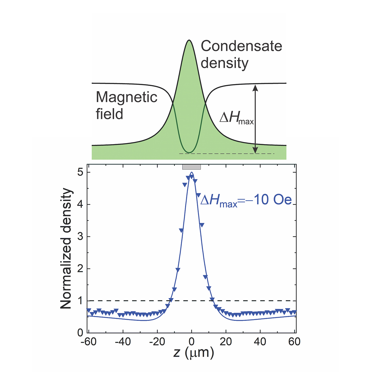 Bose-Einstein-Kondensat: Magnetische Teilchen verhalten sich abstoßend