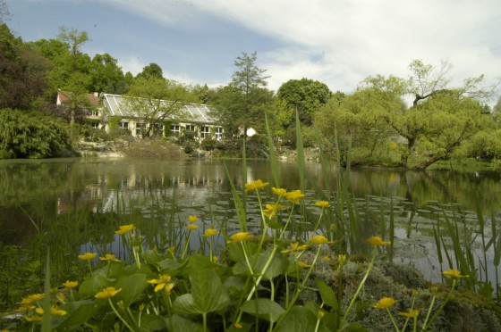 Blick auf einen Teich im Botanischen Garten der WWU<address>© WWU – MünsterView/Heiner Witte</address>