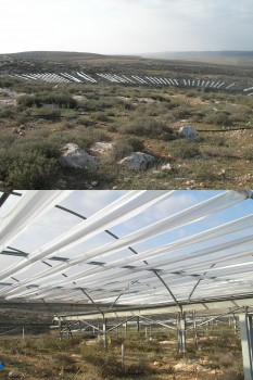 Long-term experiment in a semi-desert environment in Israel: the response of entire plant communities to experimental drought and increasing rainfall was studied for twelve consecutive years. The pictures show rainout shelters which reduce the incoming rain by 30 percent.<address>© Johannes Metz</address>