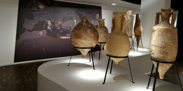 Amphoren im Untergeschoss des Archäologischen Museums.<address>&copy; WWU/Archäologisches Museum - Silke Hockmann</address>