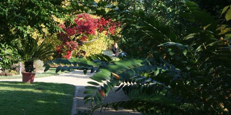 Der Herbst hält in den Botanischen Garten Einzug<address>© WWU/Botanischer Garten</address>
