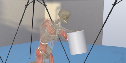 Mithilfe des 3D-Muskel-Skelettmodells visualisieren die Forscher im Bewegungslabor arbeitstypische Bewegungsmuster.<address>© WWU - Bewegungslabor</address>