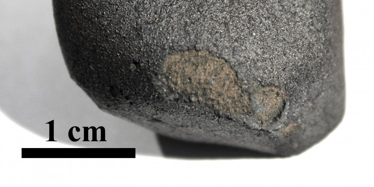 Flensburg-Meteorit mit schwarzer Schmelzkruste: Teile der Schmelzkruste gingen beim Flug durch die Atmosphäre verloren. Das 24,5 Gramm schwere, kleine Bruchstück ist etwa 4,5 Milliarden Jahre alt.<address>© Markus Patzek</address>