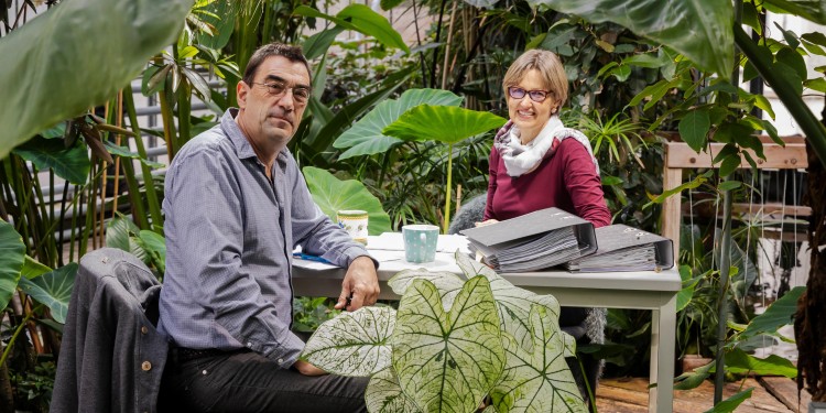 Eine grüne Oase im Botanischen Garten der WWU: Doris Fuchs und Matthias Grundmann erforschen Nachhaltigkeit.<address>© WWU - MünsterView</address>