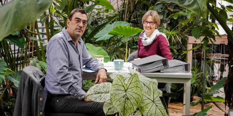 A green oasis in the Botanical Garden at Münster University: Doris Fuchs and Matthias Grundmann research into sustainability.<address>© WWU - MünsterView</address>