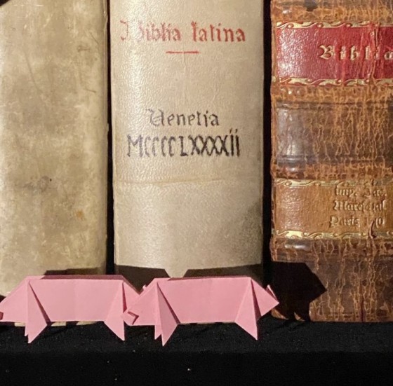 Mit bunten Papieren basteln und falten die Teilnehmer Tiere der Bibel.<address>&copy; WWU/Bibelmuseum - Dr. Jan Graefe</address>