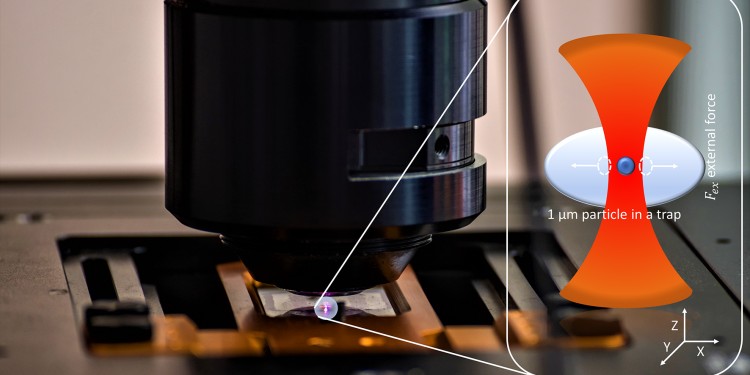 Ein Mikropartikel, das mit einer optischen Pinzette festgehalten wird, unter dem Mikroskop. Rechts im Bild: Illustration des festgehaltenen Partikels (vergrößert); rot dargestellt ist das Licht des eingesetzten Infrarotlasers.<address>© Pascal Runde</address>