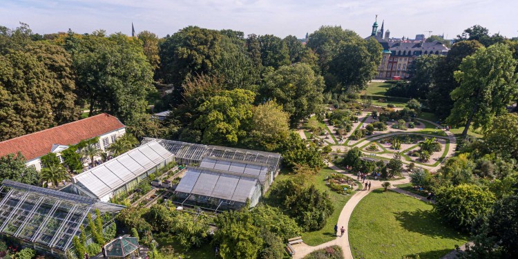 Der Botanische Garten der Universität Münster.<address>© WWU - Thomas Mohn</address>