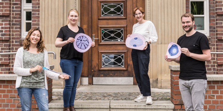 Their analyses enabled a high-res picture to be obtained of testicles (from left): Dr. Sara Di Persio, Dr. Nina Neuhaus and Dr. Sandra Laurentino from the Centre of Reproductive Medicine, and Tobias Tekath from the Institute of Medical Informatics.<address>© WWU - L. Jeremies</address>
