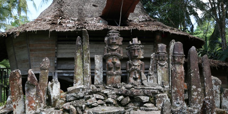 Eine öffentliche Ringvorlesung gibt Einblicke in archäologische Feldarbeit, etwa in die Forschung zu diesen Zeugen der Megalithkultur in Bitaha (Indonesien).<address>© Dominik Bonatz</address>