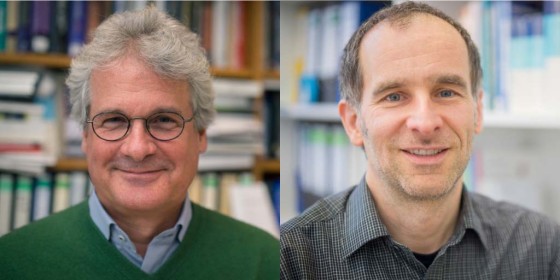 Spokesperson Prof. Christian Klämbt (left) and co-spokesperson Prof. Stefan Luschnig<address>© privat</address>