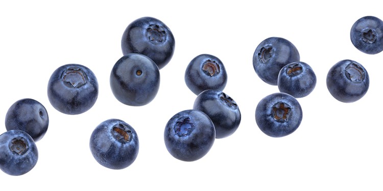 Food supplements made from blueberries were attested by the Münster team as having “catastrophic quality deficiencies”.<address>© adobe.stock.com – xamtiw</address>