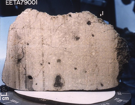 Der Marsmeteorite Elephant Moraine (EETA) 79001. Diese und andere Marsmeteoriten untersuchten die Wissenschaftler in der Studie.<address>© NASA/JSC</address>