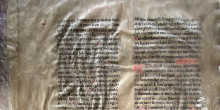 Die Original-Seite der lateinischen Gutenberg-Bibel von 1462 zeigt die Textstelle &quot;Hesekiel 29-32&quot;.<address>© Jan Graefe/Bibelmuseum</address>