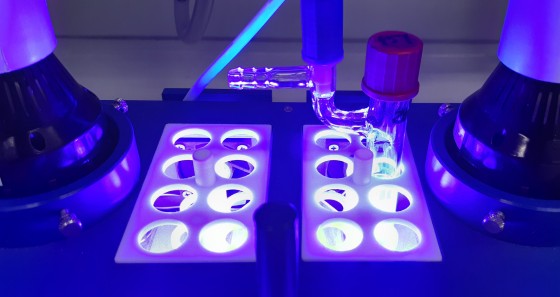 The Münster team uses this laboratory set-up to perform photocycloaddition.<address>© University of Münster - Roman Kleinmans</address>