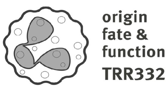 Logo of CRC/TRR 332<address>© SFB/TRR 332</address>