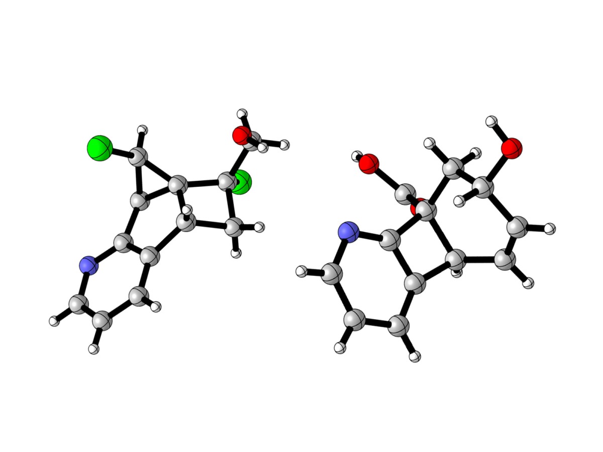 Kristallstrukturen von zwei Produkten aus der Cycloaddition. Links: ein einzigartiges kondensiertes fünf-, vier- und dreigliedriges Ringsystem; rechts: ein vier- und sechsgliedriges Gerüst. Die Kohlenstoffatome sind grau, die Wasserstoffatome weiß, die Stickstoffatome blau, die Sauerstoffatome rot und die Chloratome grün dargestellt. © WWU – Peter Bellotti