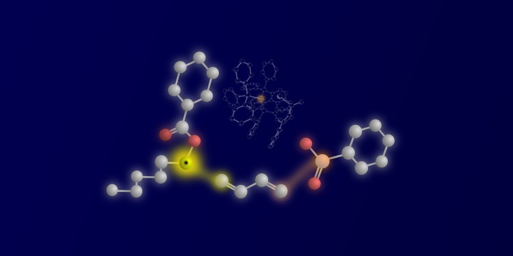 Die drei Reaktionspartner und ihre Verknüpfung: links das ketylartige Radikal, in der Mitte das 1,3-Dien und rechts das nukleophile Sulfinat. Die reaktiven Atome und die sich bildende Bindung sind gelb (Ketylkohlenstoff und erste C-C-Bindung) und orange (Schwefelnukleophil-Atom und zweite C-S-Bindung) hervorgehoben. Im Hintergrund ist der katalytisch aktive Palladiumkomplex mit dem orangefarbenen Palladiumzentrum zu sehen.<address>© WWU – Peter Bellotti</address>