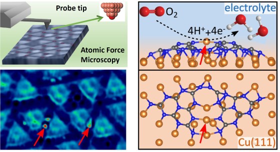 Left: Atomic force microscopy with atomically defined probe tip (top) and an experimental image of the copper-nitride network (below), with the red arrows marking the catalytically active copper atoms. Right: Theoretical model with a schematic representation of the catalytic reduction of oxygen.<address>© American Chemical Society</address>