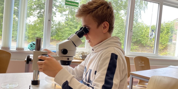 Gewässerproben aus dem Aasee kommen beim Feriencamp des "MExLab ExperiMINTe" unter die Lupe.<address>&copy; MExLab ExperiMINTe</address>