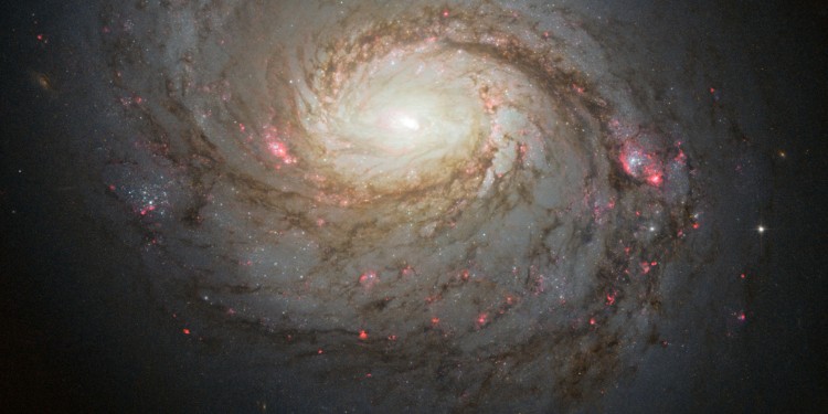 Eine Aufnahme der Galaxie NGC 1068 durch das Hubble-Teleskop<address>© NASA / ESA / A. van der Hoeven</address>