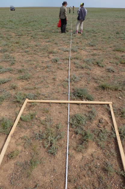 Felderhebungen für ein internationales Forschungsprogramm auf einer stark überweideten Fläche in der Hungersteppe Zentralkasachstans. © AG Hölzel