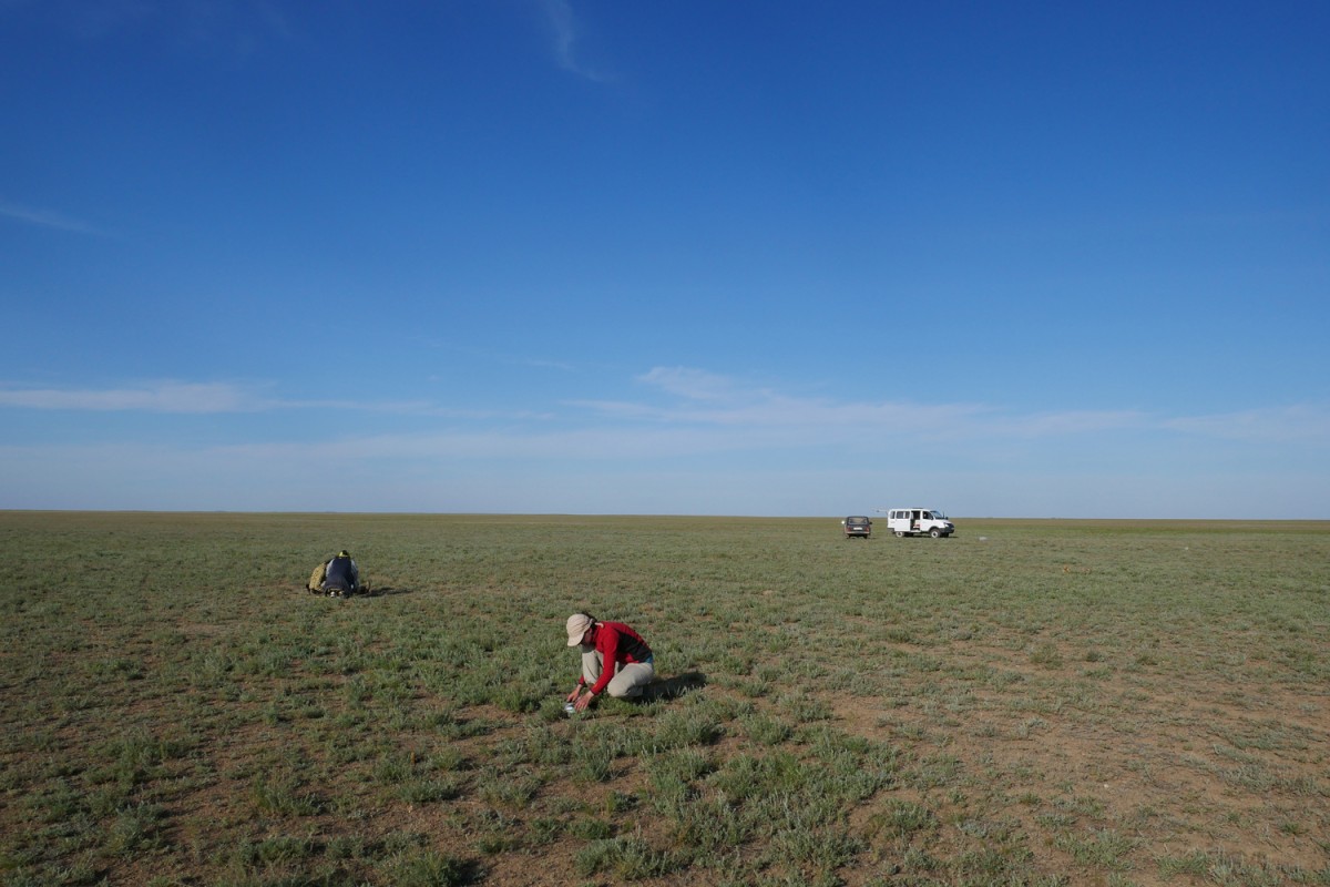 Taking soil samples in the endless expanse of the Betpak-Dala in Central Kazakhstan. © AG Hölzel
