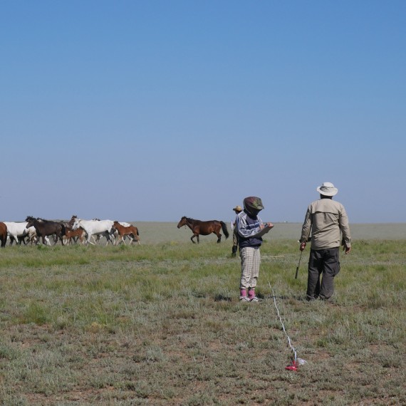 Prof. Norbert Hölzel’s team conducted a wide-ranging study in the Betpak-Dala in Central Kazakhstan on the influence of grazing on ecosystem services.<address>© AG Hölzel</address>
