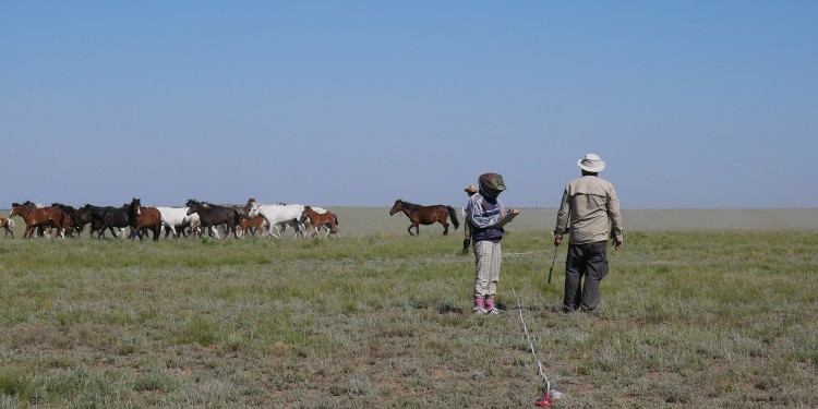 Prof. Norbert Hölzel’s team conducted a wide-ranging study in the Betpak-Dala in Central Kazakhstan on the influence of grazing on ecosystem services.<address>© AG Hölzel</address>