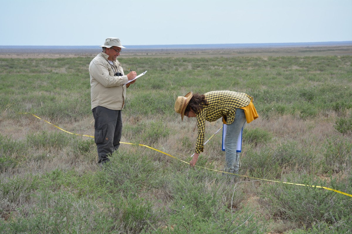 Collecting data for an international research programme in the semi-desert of Central Kazakhstan. © AG Hölzel