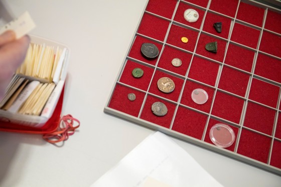 Die sizilianischen Münzen aus Gold, Silber und Bronze werden 2024 in einer Sonderausstellung zu sehen sein.<address>© WWU - Lianna Hecht</address>