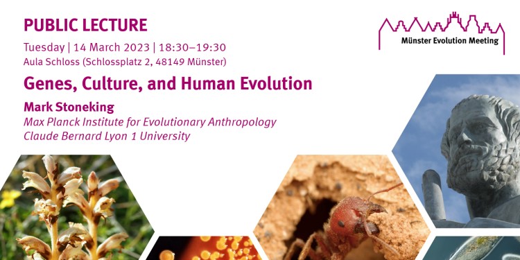 Der Vortrag von Prof. Mark Stoneking beginnt um 18.30 Uhr in der Aula des Schlosses.<address>&copy; MEM</address>