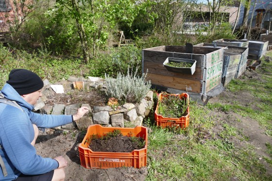 Eine Kräuterspirale im Campusgarten „Grüne Beete“ bietet Insekten viel Nahrung und Unterschlupfmöglichkeiten.<address>© WWU - KK</address>