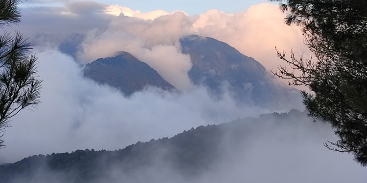 Nebel ist auf Mount Lulin und in anderen Regionen Taiwans häufig.<address>© Madeleine Falkowski</address>