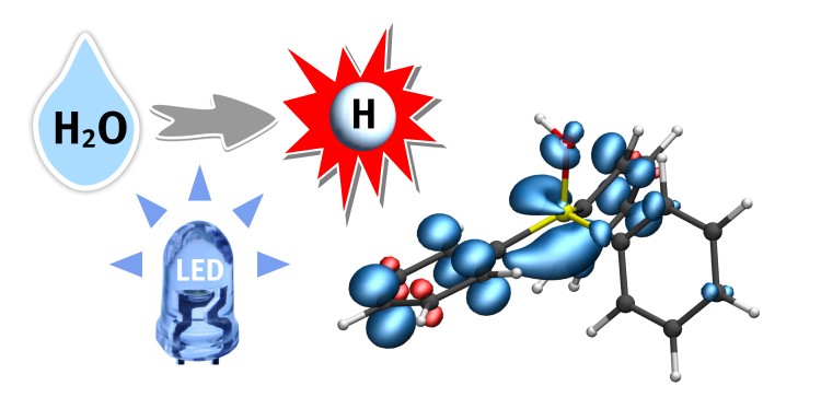 A hydrogen atom (H) from water (H2O) is transferred to a phosphine-water radical cation under the supply of light energy (LED). This important radical intermediate can further transfer the hydrogen atom (white) to the substrate. The blue regions indicate the electron spin distribution.<address>© Christian Mück-Lichtenfeld</address>
