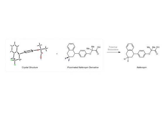 Links: Kristallstruktur (grau: Kohlenstoff, C; grün: Fluor, F; rot: Sauerstoff, O) des neuartigen, difluorierten Nafenopin-Derivats. Der modifizierte Wirkstoff wurde ausgehend von einem Zwischenprodukt hergestellt, welches mithilfe der beschriebenen Methodik synthetisiert wurde. Rechts: Struktur von Nafenopin.<address>© WWU Münster - AG Gilmour</address>