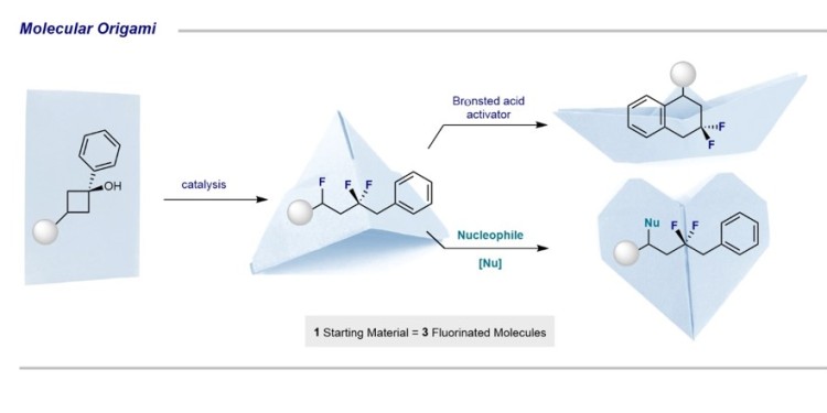 Die Reihe der Faltschritte steht für aufeinanderfolgende Reaktionen. Ausgehend vom Ausgangsstoff Cyclobutanol („Blatt Papier“) kann eine isolierbare Zwischenverbindung hergestellt werden („Origami-Hut“). Durch die Zugabe eines Brønsted-Säure-Aktivators wird eine intramolekulare Cyclisierung ausgelöst, die zu hochwertigen Tetralin-Derivaten führt („Origami-Boot“). Andererseits können sogenannte Nukleophile durch die Aktivierung der benzylischen Kohlenstoff-Fluor-Bindung eingeführt werden („Origami-Herz“).<address>© WWU Münster - AG Gilmour</address>