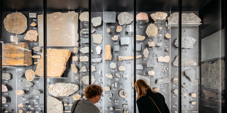 Zum ersten Mal ist das neu gestaltete und am 10. August wiedereröffnete Geomuseum beim „Schauraum“ mit von der Partie.<address>© WWU - Christoph Steinweg</address>