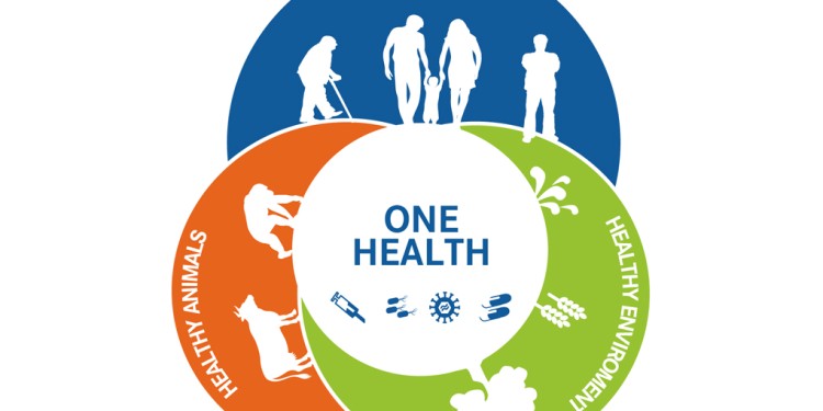 Das Konzept „One Health“ beruht auf der Einsicht, dass die Gesundheit von Mensch, Tier und Umwelt untrennbar miteinander verknüpft ist.<address>© HIOH / UNA[H]RT DESIGN</address>
