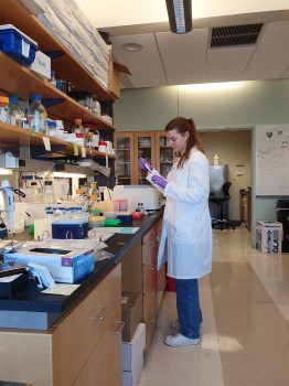 Dr. Ariana Plasger<address>© privat</address>