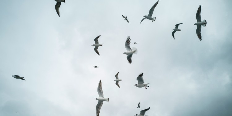 <address>&copy; unsplash - engin akyurt</address>