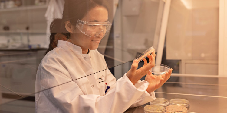 Applications are now open for international research alumni.<address>&copy; Uni MS - Nike Gais</address>