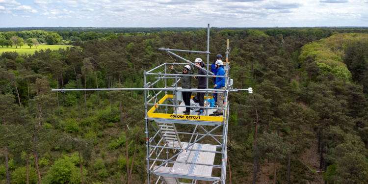 In 30 Metern Höhe bringt das Forschungsteam die Messinstallationen auf dem Turm im Lüntener Wald an.<address>© Uni MS - Johannes Wulf</address>