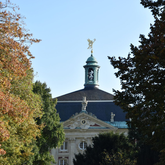 Das Schloss ist zu sehen, davor stehen Bäume im Herbstlicht.<address>© Uni MS - Kathrin Kottke</address>