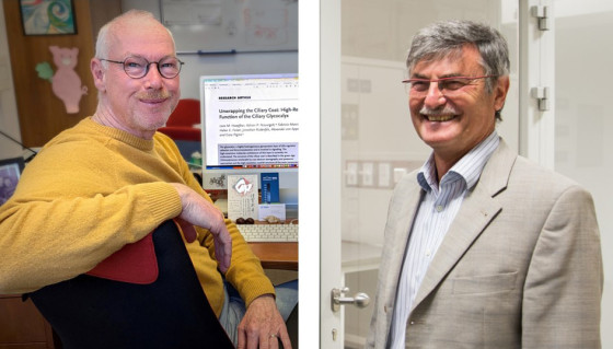 Prof. Dr. Michael Hippler (links, Brustporträt vor einem Monitor sitzend, seitlich aufgenommen) und Prof. Dr. Helmut Zacharias (rechts, Brustporträt vor hellem Hintergrund in einem Gebäude)<address>© AG Hippler - Lando Lebock / Uni MS - Peter Leßmann</address>