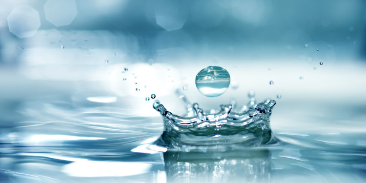 <address>© stock.adobe.com - Anton Maltsev</address>