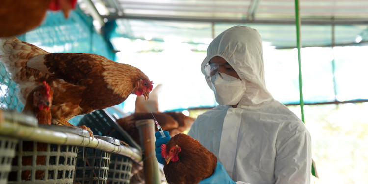 <address>© stock.adobe.com - panyawat</address>